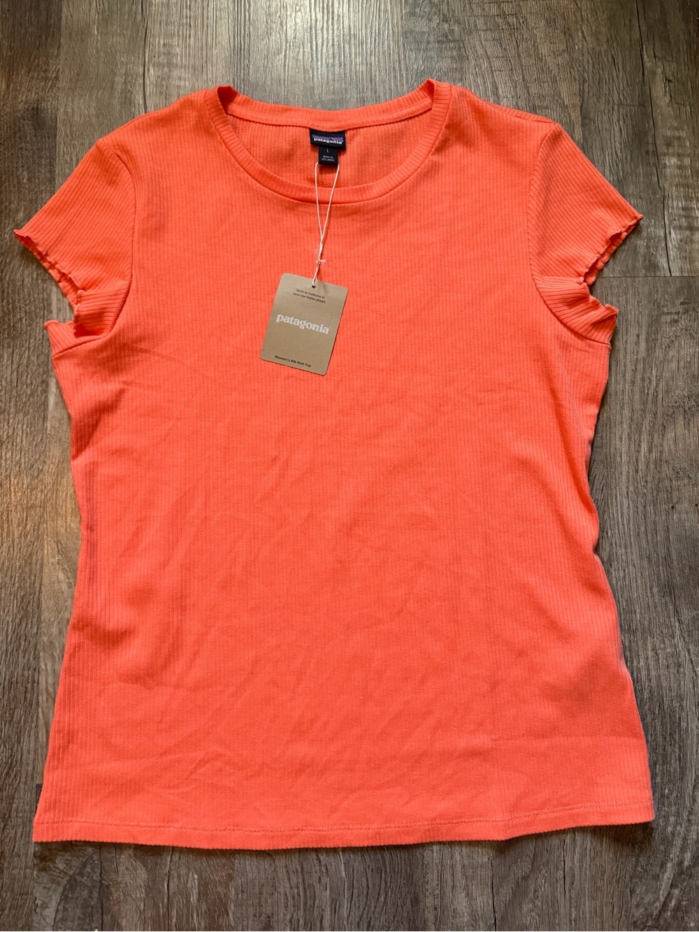 NWT Patagonia Tshirt
